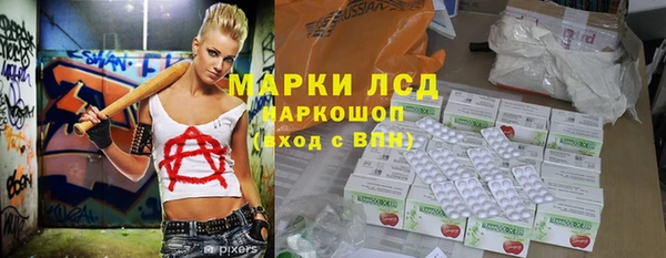 сатива Дубна