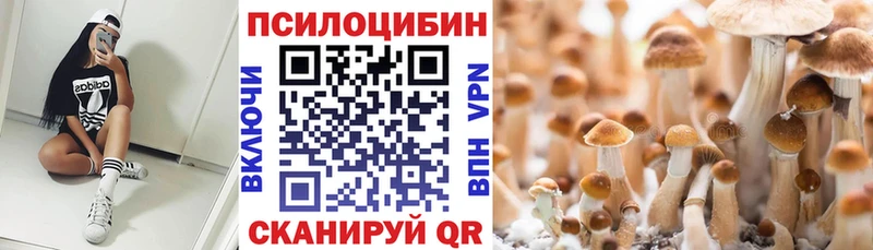 Галлюциногенные грибы ЛСД  Донецк 